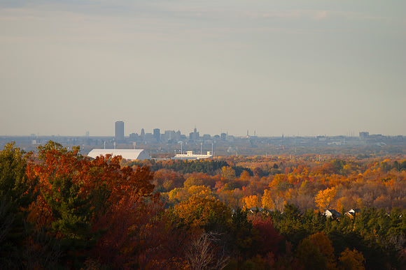 ChestnutRidge_Buffalo_IMG_3950