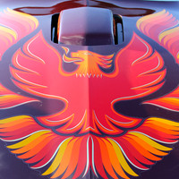 TransAm_Cruise Night__July 22 2015_1155