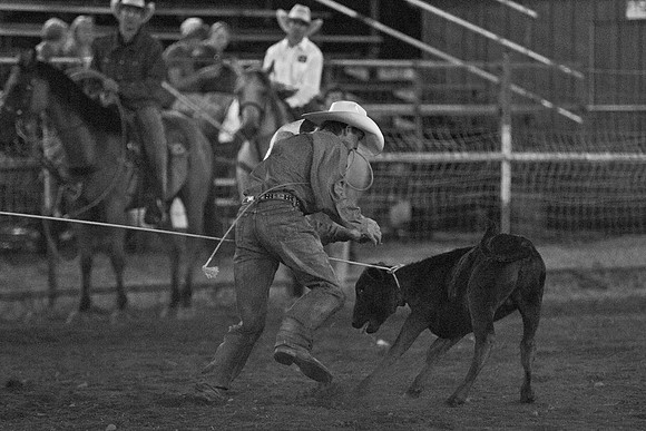 Gerry Rodeo_Aug 8 2015_1707
