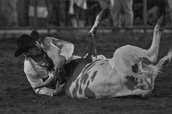 Gerry Rodeo_Aug 8 2015_1662