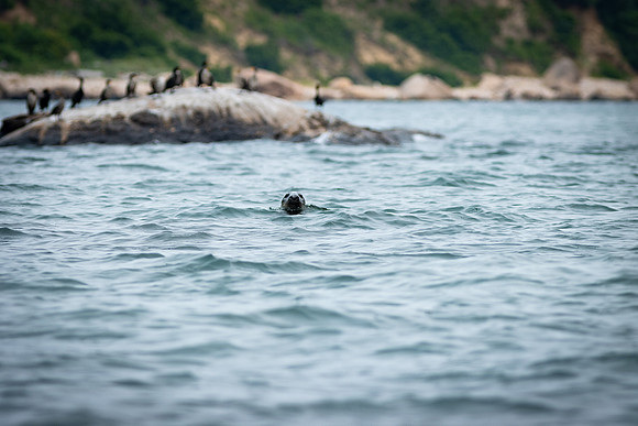 Shelter Island_2026_9236