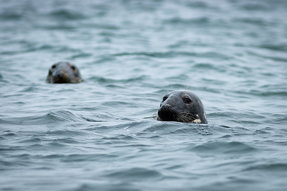Shelter Island_2026_9264