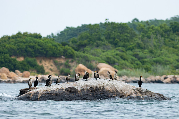 Shelter Island_2026_9256