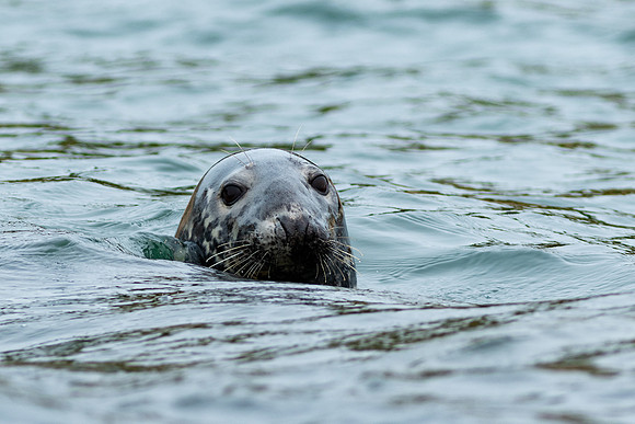 Shelter Island_2026_9272