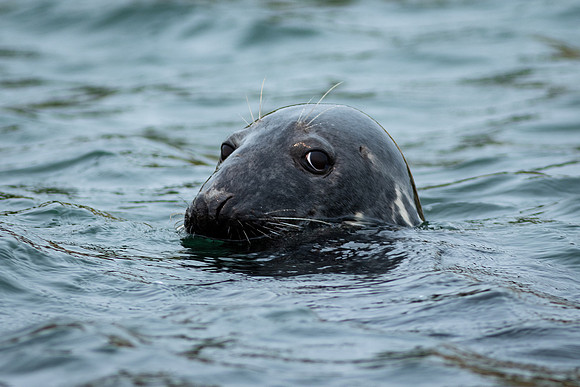 Shelter Island_2026_9283