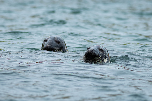 Shelter Island_2026_9319