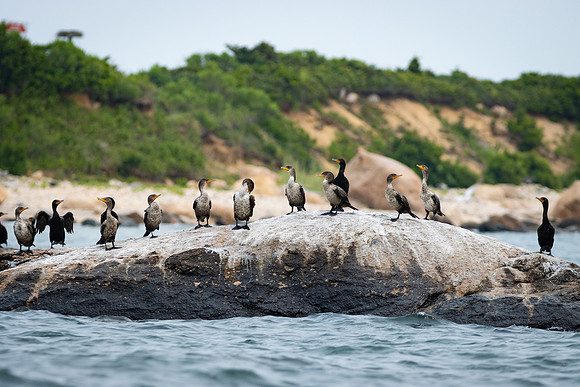 Shelter Island_2026_9294