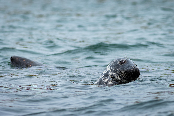 Shelter Island_2026_9322