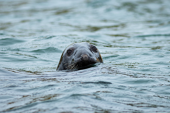 Shelter Island_2026_9375