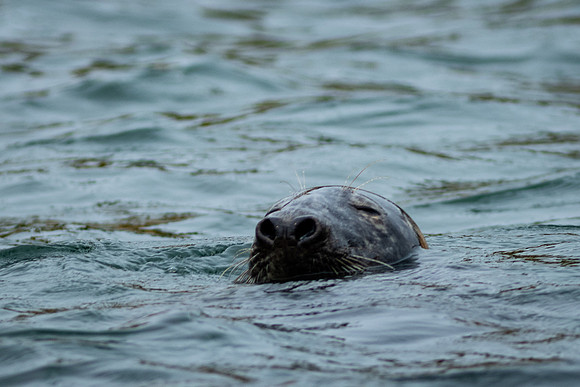 Shelter Island_2026_9386