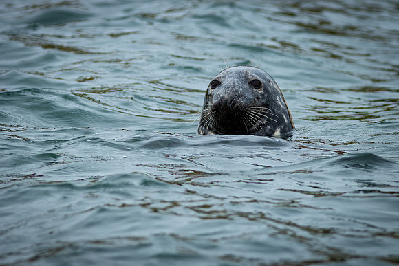 Shelter Island_2026_9398
