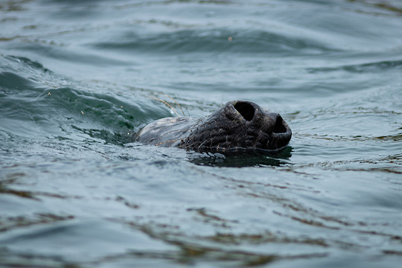 Shelter Island_2026_9403