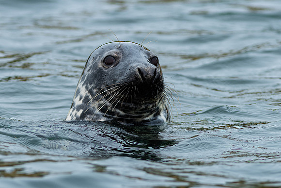 Shelter Island_2026_9401