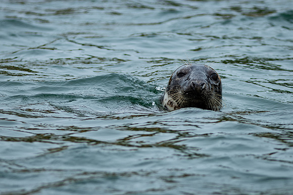 Shelter Island_2026_9407