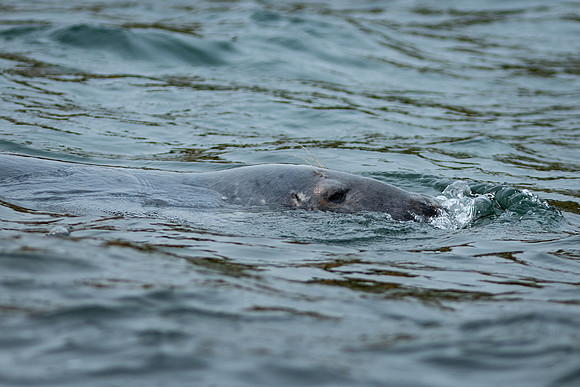 Shelter Island_2026_9411