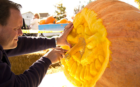 PumpkinFarm_0518