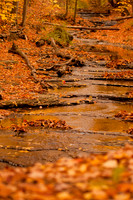 Autumn Creek_Chestnut Ridge_3966
