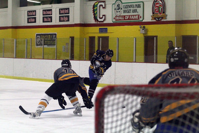 VAhockey_8743