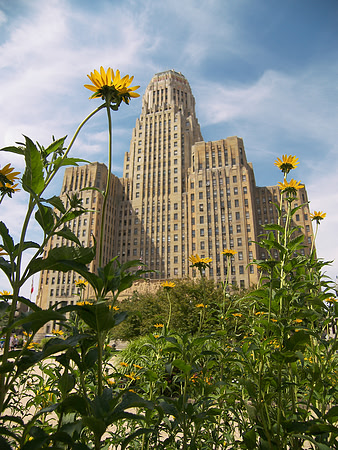 Buffalo City Hall (1044)