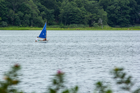 Coecles Harbor_0577