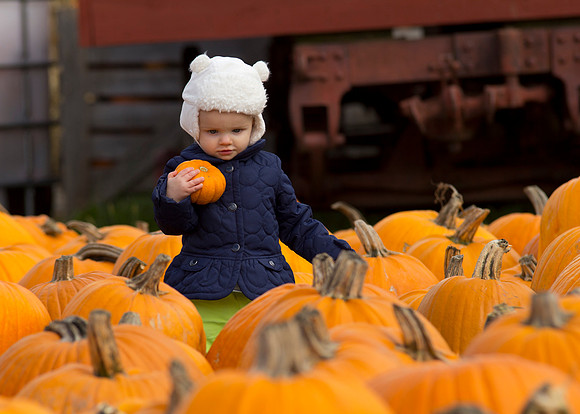 Clarence_10-16_MattiaPumpkinFarm_dn