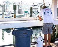 Star Island Marina_0309