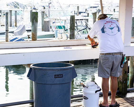 Star Island Marina_0309
