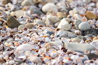 Shelter Island_0337