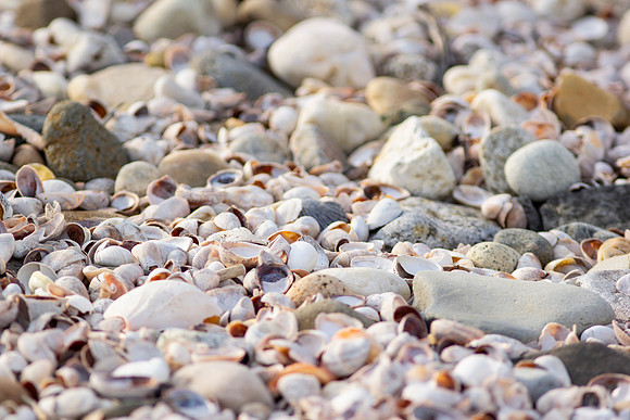 Shelter Island_0337